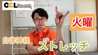 【本庄市】脳がリセット！自律神経が整うストレッチ　６月２９日　ライブ配信録画版　火曜　肩すっきり！腕すっきり！