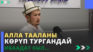 Алла Тааланы кѳрүп тургандай ибаадат кыл… | устаз Белек Турдалиев