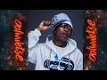 DJ Maphorisa & Xduppy  - Bolwetse (Official Audio) (Ft. Angekebabuye MC & Mluusician)