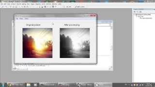 Visual Basic 2006 - Gray filter on picture