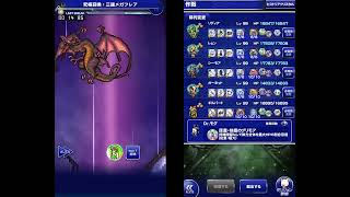 【FFRK】クリスタルD  天命の冥漠 -冥漠-  召喚士   謎の少女