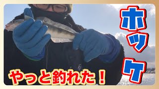 【ホッケ】1年越しにやっと釣れました。