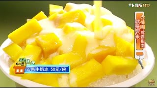 【桃園】鉅大冰城 超消暑冰品CP值高 食尚玩家 20150916