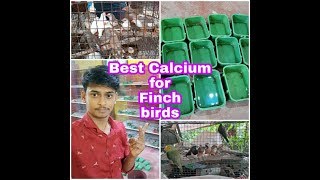 Best Calcium For Zebra Finch Birds