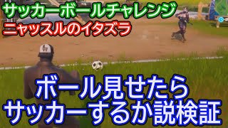 【フォートナイト】ニャッスルのイタズラ　W5　サッカーボール100ｍ蹴るミッション＆サッカーボールをパスしたら一緒にサッカーしてくれるか説を検証してます！！　#ししまいチャンネル　#フォートナイト