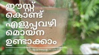 ഈസ്റ്റ് കൊണ്ട് മൊയ്ന ഉണ്ടാക്കി          #moina culture malayalam#moina culture using yeast