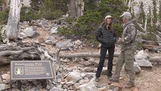 Outdoor Nevada S2 Ep7 Clip | Ancient Pines