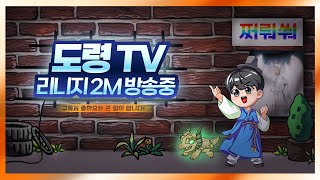 [12/11] 도령TV 리니지2m / 카인3 PVP연합 VS 태연합 자존심 싸움!?