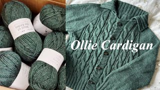 [뜨개로그] 샬라님의 Ollie Cardigan | 뜨린이의 첫번째 FO