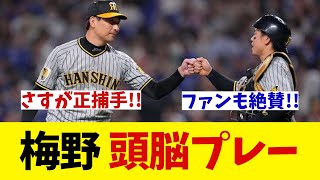 阪神・梅野の頭脳プレーにファン大興奮wwwwww【野球情報】【2ch 5ch】【なんJ なんG反応】【野球スレ】