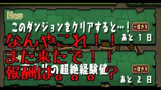 【パズドラ実況】このダンジョンをクリアすると。。。報酬はガチャ！　ウーマン×ターディス