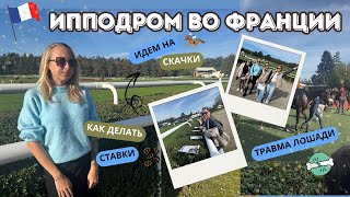 VLOG // Как устроен конный спорт во Франции  🇫🇷 Делаем ставки на лошадей 🐎