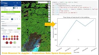 From Copernicus Browser to Jupyter Notebook