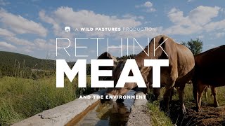 Are Cows Really Destroying the Planet?