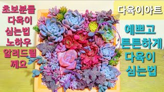 다육이♡ 농장주딸내미가 알려주는 합식노하우ㅎㅎ 다육이심는법. 😍 Succulents, 초보다육이, 다육이키우기 . 다육이정보, 다육이종류, 겨울다육이,