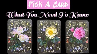 💕💐What You Need To Know💐💕 Pick a Card 🦋SNEAK PEEK OF MEMBERS🦋 Tarot Reading