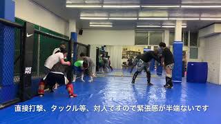 【総合格闘技】横須賀 Y\u0026K MMA ACADEMYにてトレーニング