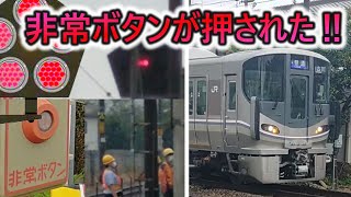 【緊急】非常ボタンが押された踏切を見てみた