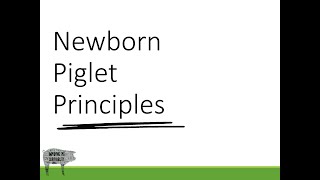 Newborn Piglet Principles