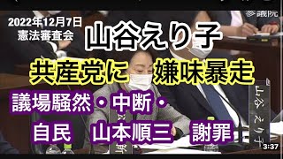 共産党に嫌味暴走　議場騒然　山谷えり子　自民謝罪　憲法改正　自衛隊違憲　憲法審査会