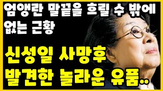 엄앵란 딸 신성일의 놀라운 유품 발견..엄앵란 오열..엄앵란 근황