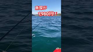 魚探が1,980円⁉️😳 カヤックフィッシングin鹿児島 2025.01.26 九州 鹿児島 釣り #SLJ # #fishing #バス釣り #魚探 #魚群探知機