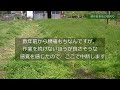 【草刈り】実家の耕作放棄地や屋敷周りを草刈りしました／カラスノエンドウが刈りにくく、トラブルもあったりして2回に分けての作業となりました－vol.112（2023.04.13～21）