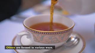 Jasmine Tea, 4 Superb Things That You Need To Know About It