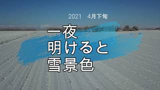 【大石農産】　大石農産のとある一日　一夜明けると雪景色