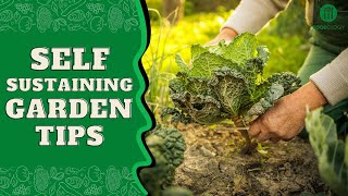 6 Ways To Achieve A Self-Sustaining Garden