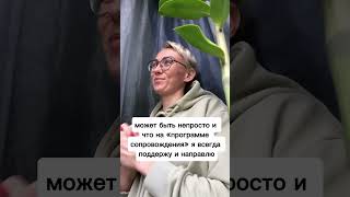 Ты в надёжных руках 🤝🏻👍🏻