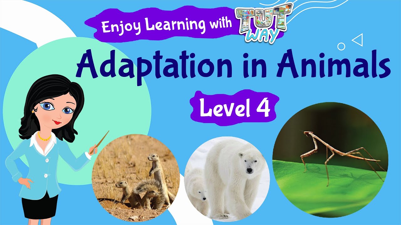 Animal Adaptations For Kids | Science | Grade 3 & 4 | TutWay - YouTube