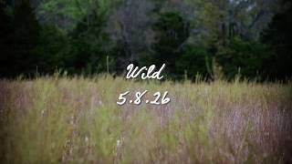 Ashley Mcbryde Wild The Tracklist