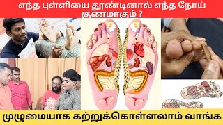 எந்த புள்ளியை தூண்டினால் எந்த நோய் குணமாகும்? முழுமையான foot massage training #tamil #chiropractic