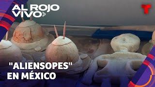 Cocinera crea "aliensopes" inspirados en los alienígenas que presentó Jaime Maussan en México
