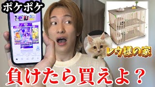 愛猫レウ様の新居をどうしてもマネージャーに買わせたいダイキ様の挑戦