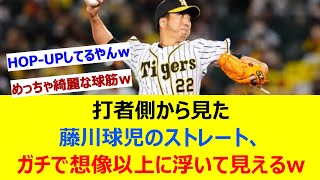 打者側から見た藤川球児のストレート、ガチで想像以上に浮いて見えるwww【ネット反応集】