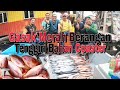 Pesta Gasak Merah Berangan, Tenggiri & GT Di Tuas Buluh Kuning Pulau Payar Trip Mengejut s217