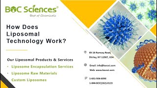 How Does Liposomal Technology Work? - Liposomal Technology - Liposomes