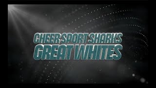 Cheersport Sharks Great Whites 2022-23