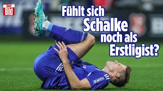 Brutaler Absturz zeichnet sich ab! | Hat Schalke Bundesliga-Niveau? | Reif ist Live