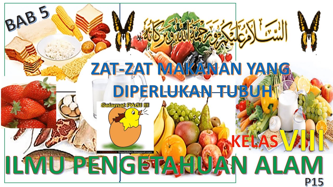 Piramid Makanan Dan Kelas Makanan - IPA MTs/SMP KELAS 8 - ZAT-ZAT ...