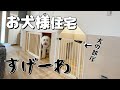 犬と暮らしやすい最新デザイン住宅！さすがにスゴすぎ・・＜犬アフレコ＞