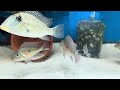 local fish store visit rockland aquarium