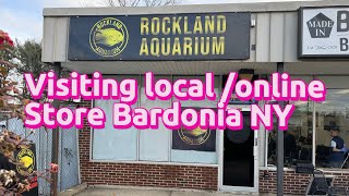 Local fish store visit , Rockland aquarium