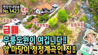 (급매) 무릉도원이 따로 없습니다 바로 여기!! 경북 봉화 계곡 전원주택 매매 앞마당이 청정계곡 토굴과 사철 수확 산야초 산나물 가득 완벽한 관리상태 봉화부동산 - 발품부동산TV