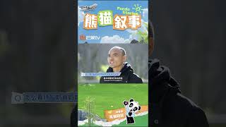 旅韩“熊猫小公主“福宝的幸福日常，谁叫我是爷爷的可爱多