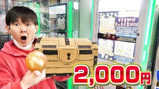 1回2,000円❕何が出るか分からない謎ガチャ！？お得そうなのでやってみた結果。。。