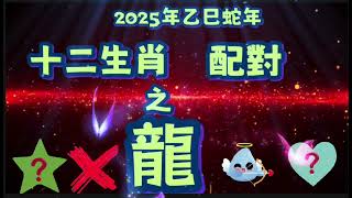 城中熱話．十二生肖#配對之生肖屬#龍有咩生肖相剋呢？有咩生肖同佢合拍？入嚟睇吓聽吓睇吓準唔準？