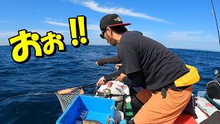 ページ95【和歌山ミニボート釣り】天秤フカセで高級魚ゲット‼